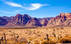 The Nevada desert